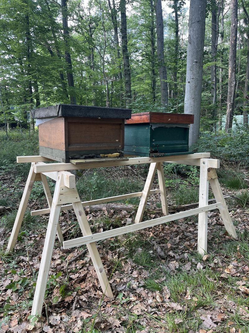 Zwei Bienenbeuten auf einem Holzbock im Wald